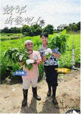 密桃喜剧人